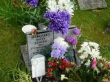 image of grave number 232738
